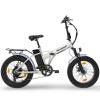 Sharp BICI ELETTRICA CON PEDALATA ASSISTITA BK-FM01-ES - RUOTE 20" - 250W - SILVER